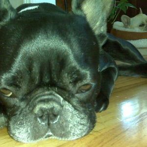 Meet your Posher, Marcia